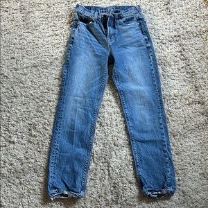 American Eagle Outfitters Blue Straight Leg Jeans